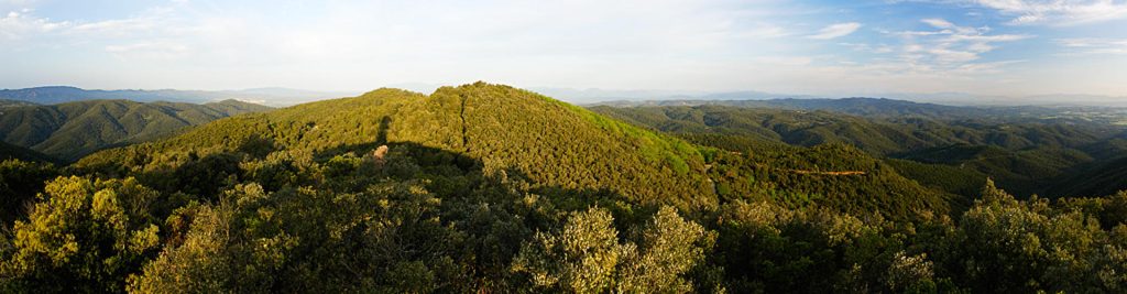 Gavarres-11